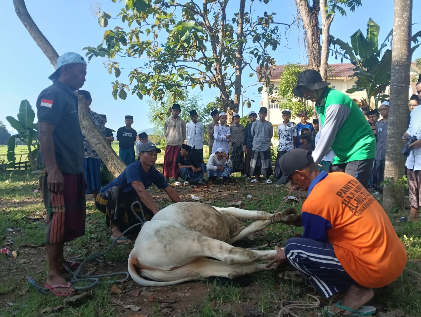 ANGGOTA DPR RI CHARLES MEIKYANSYAH BERBAGI KURBAN UNTUK SANTRI DAN WARGA PRASEJAHTERA