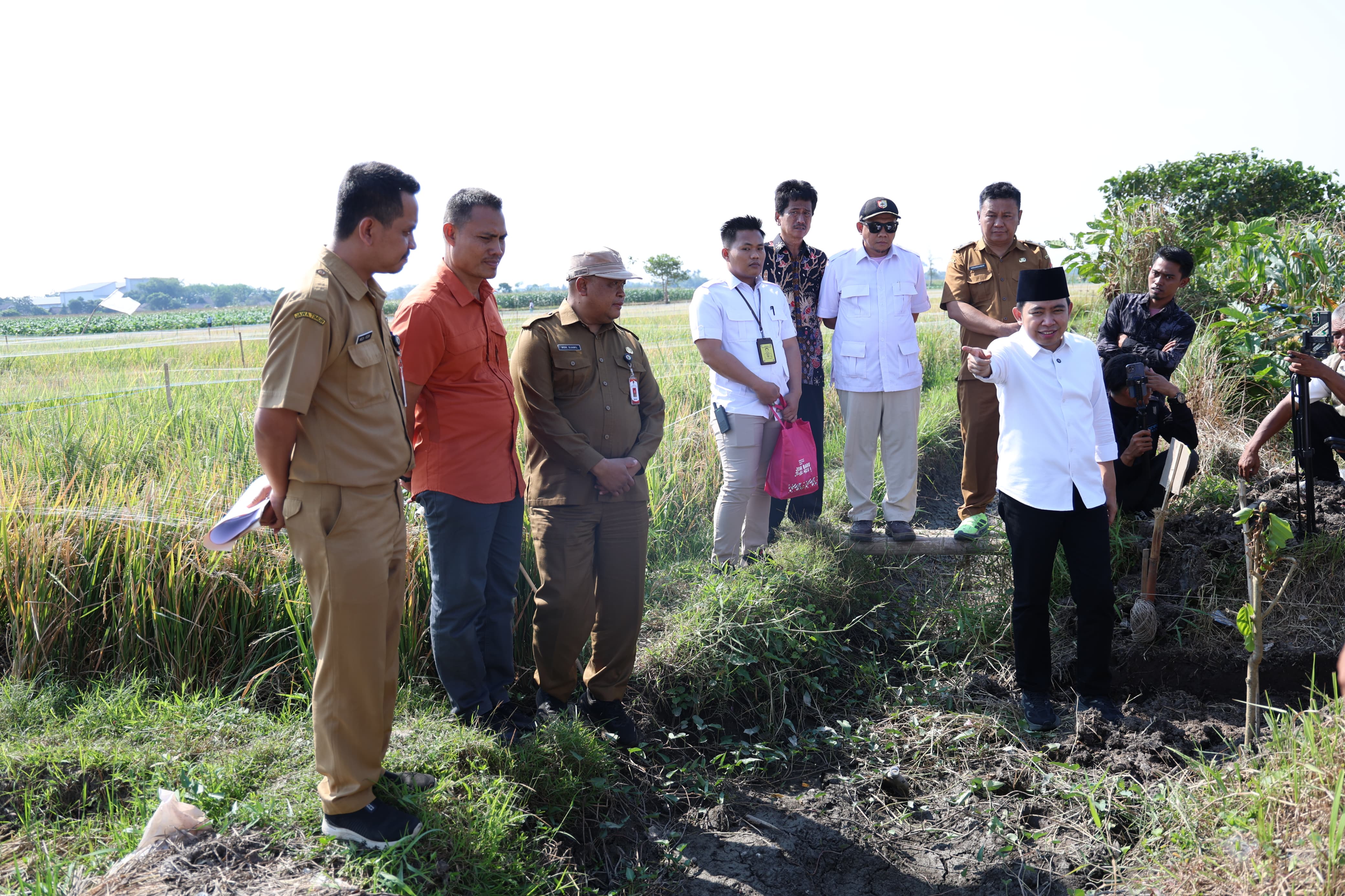 rp312-miliar-digelontorkan-jember-genjot-pertanian-dengan-irigasi-dan-optimalisasi-lahan-7070-hektare