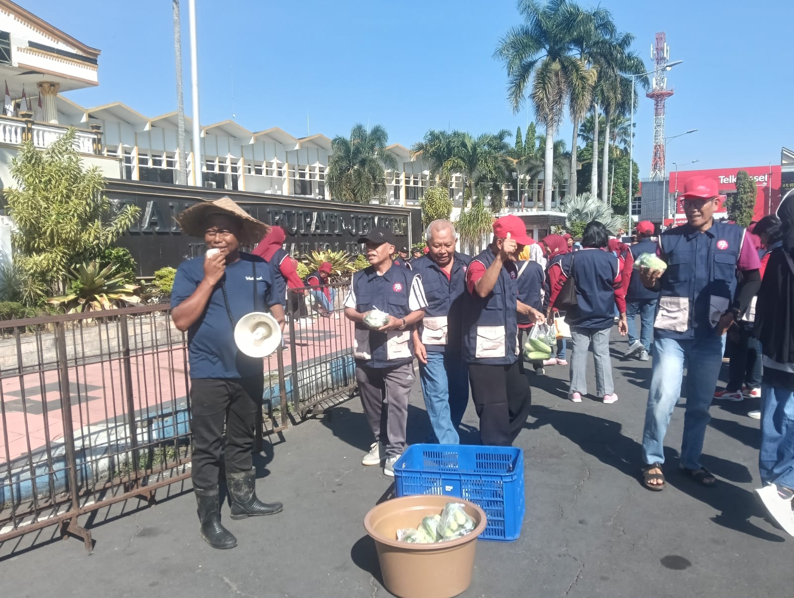 HARGA TIMUN ANJLOK HINGGA RP500/KG, PETANI JEMBER PILIH BAGI-BAGI GRATIS DI DEPAN PEMKAB DAN DPRD