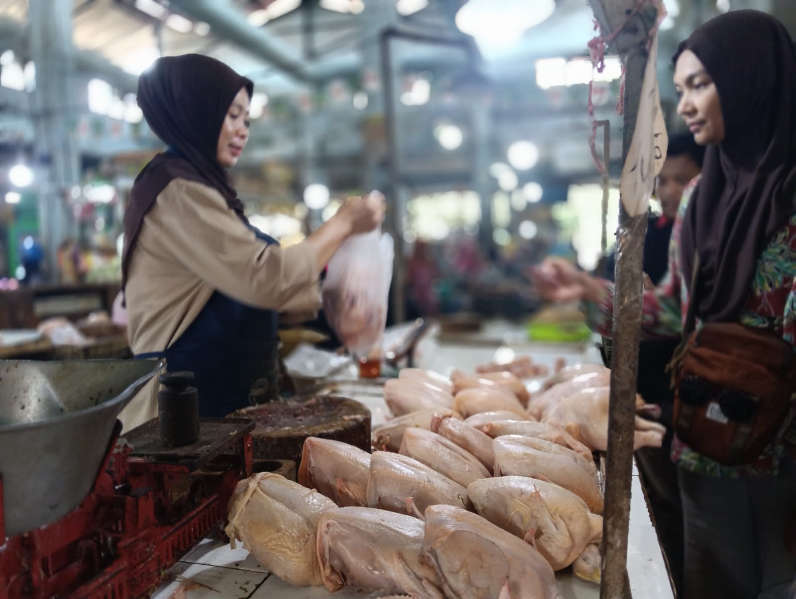 harga-ayam-tiba-tiba-melonjak-pedagang-pasar-tanjung-jember-mengeluh-pembeli-mulai-menghilang